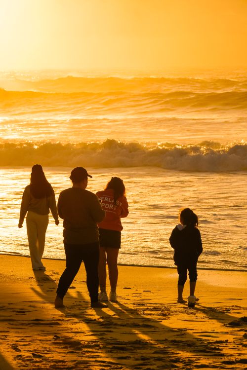 Free A family walks along a beach at sunset, casting long shadows on the sand. Stock Photo