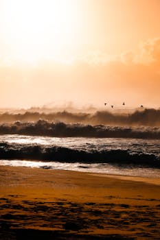 Peaceful sunset over ocean waves with birds flying in the orange sky.