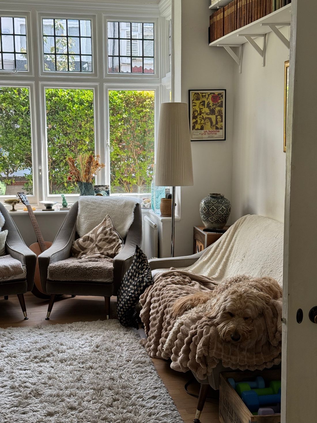 Cozy Living Room With Dog On Sofa By Large Windows