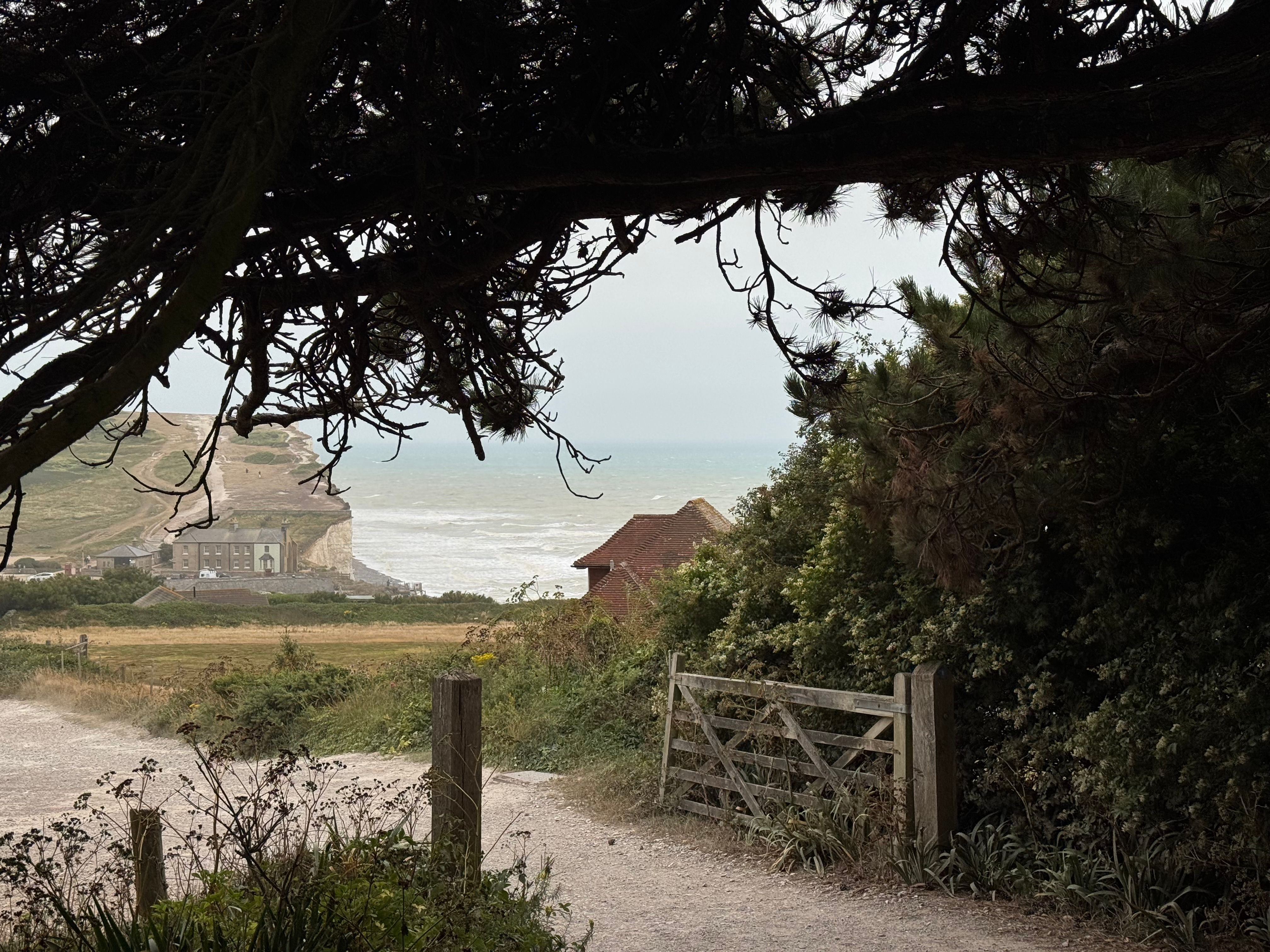 Serene Coastal Pathway Leading to Ocean View · Free Stock Photo