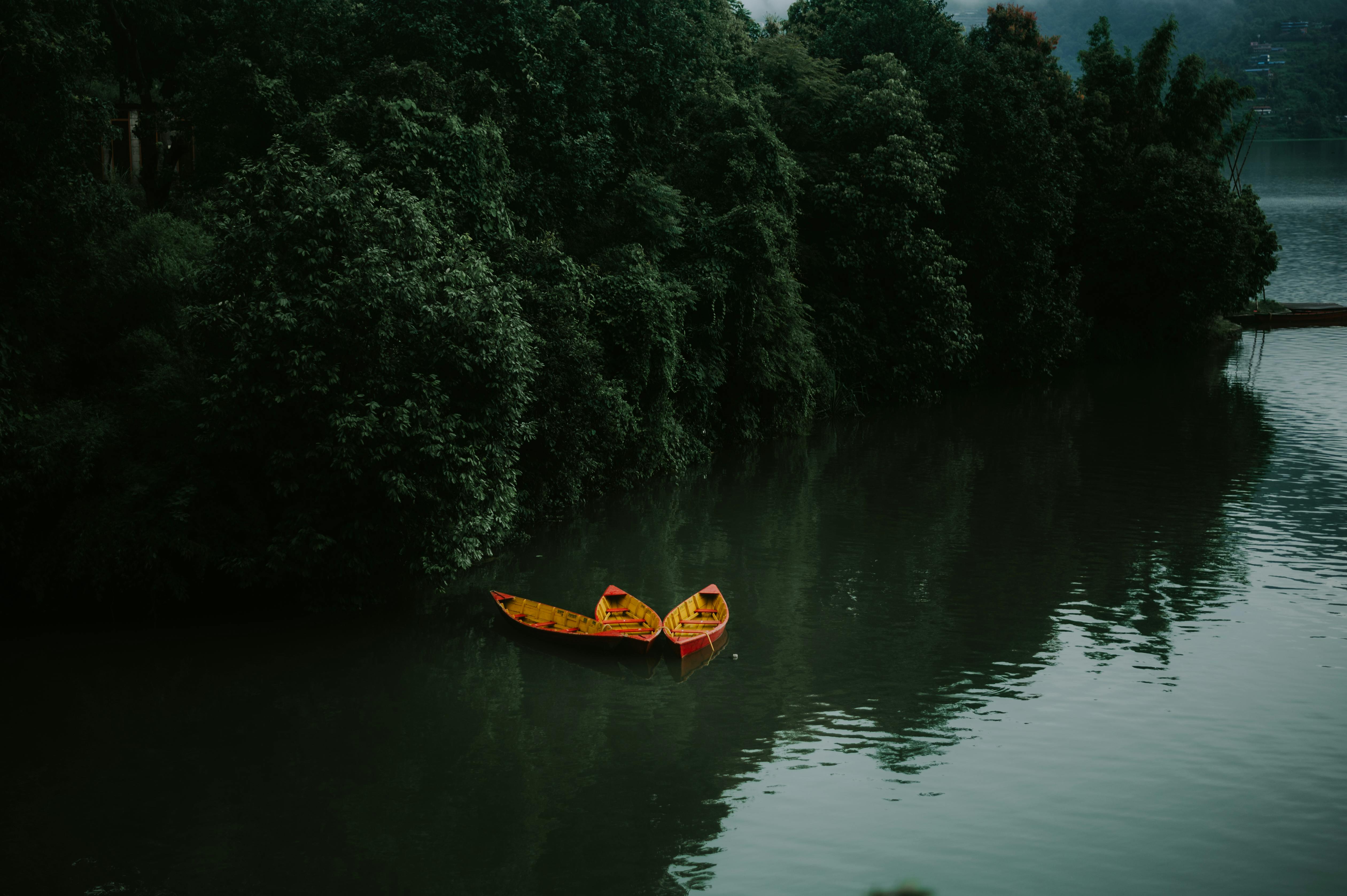Peaceful scene of yellow boats floating on a tranquil lake surrounded by dense forest.