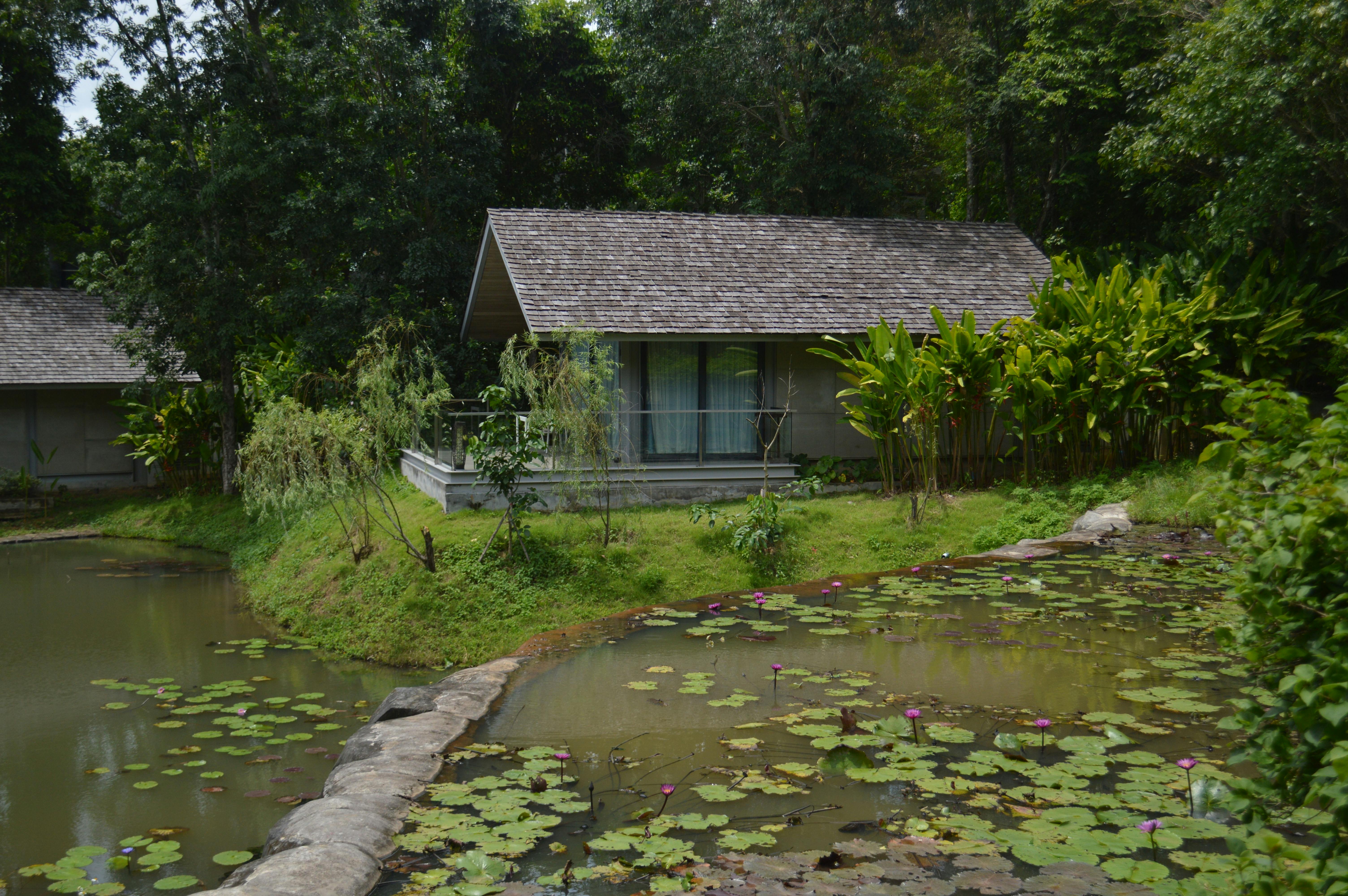 Solar Panels and Energy Efficient Appliances: Green Hacks for a Sustainable Home