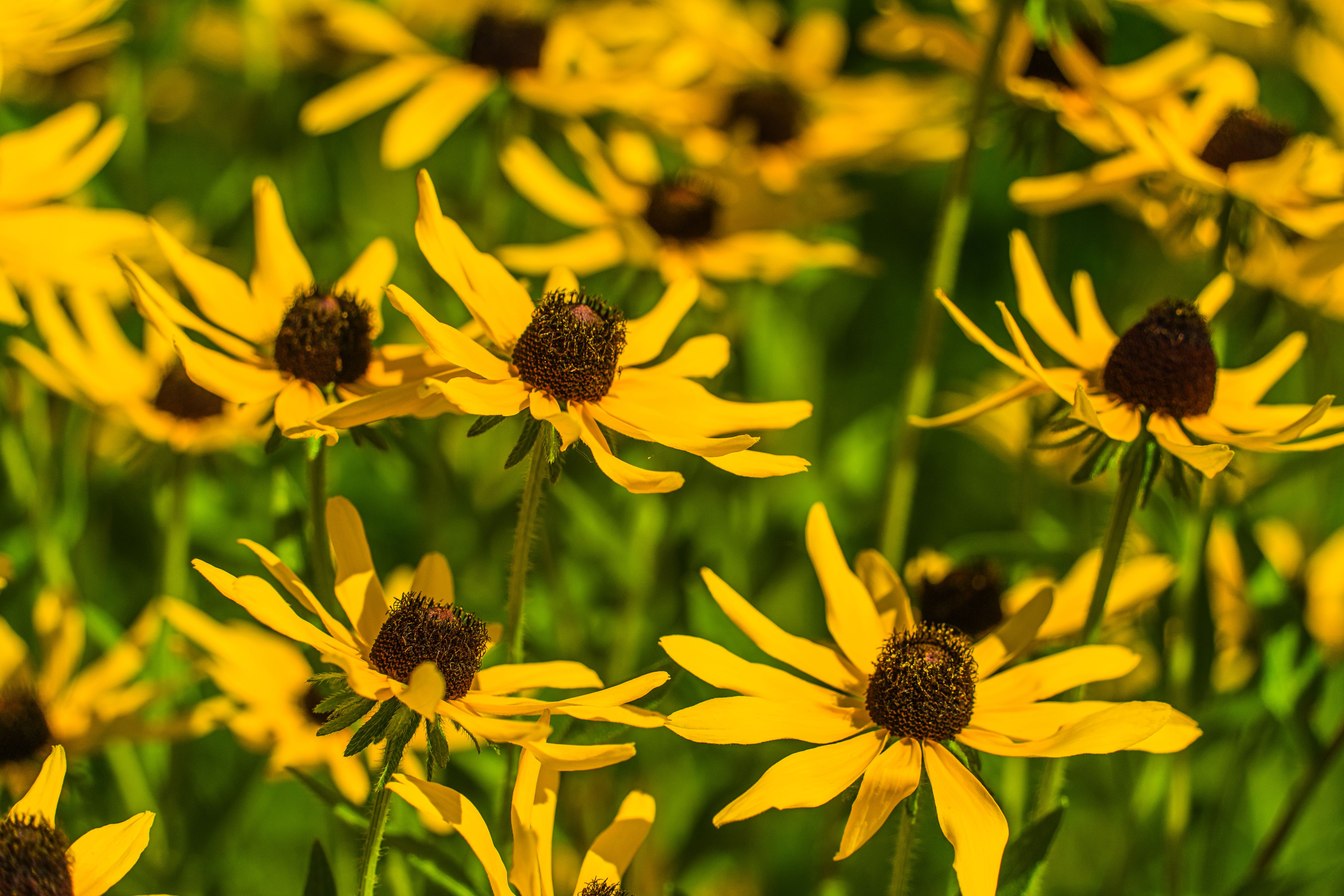 st louis home tips — STL Gateway Living 2