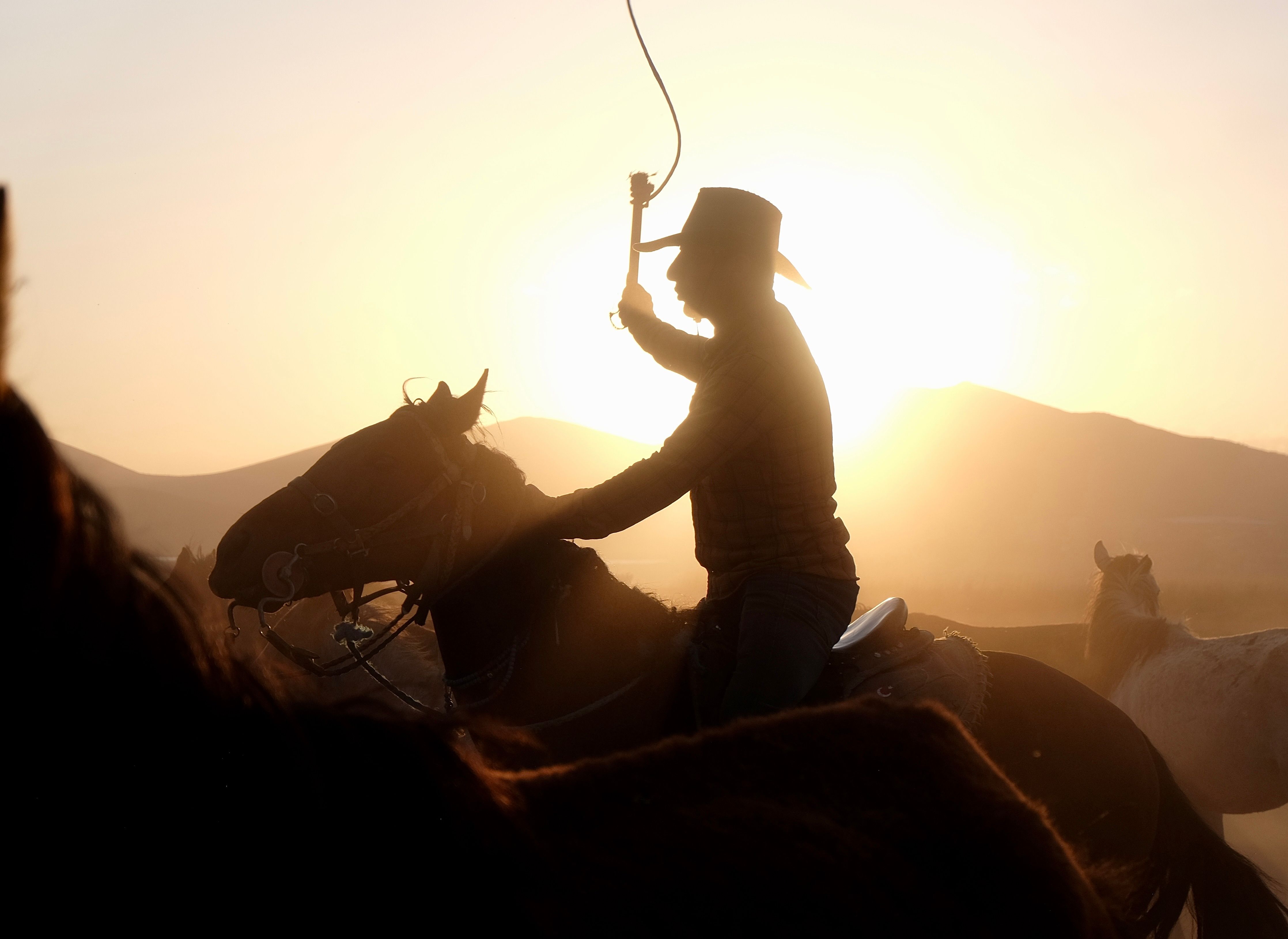Cowboy Hat Photos, Download The BEST Free Cowboy Hat Stock Photos & HD