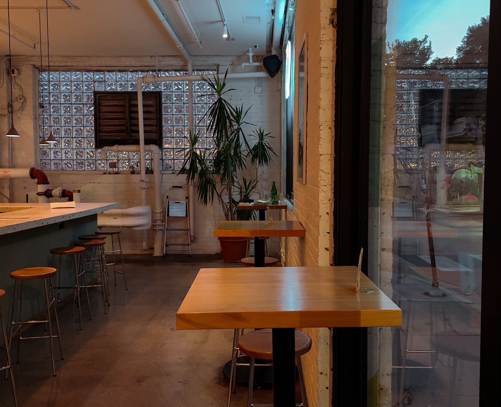 Inside the Daily Grind counter — wooden tables, plants and warm light