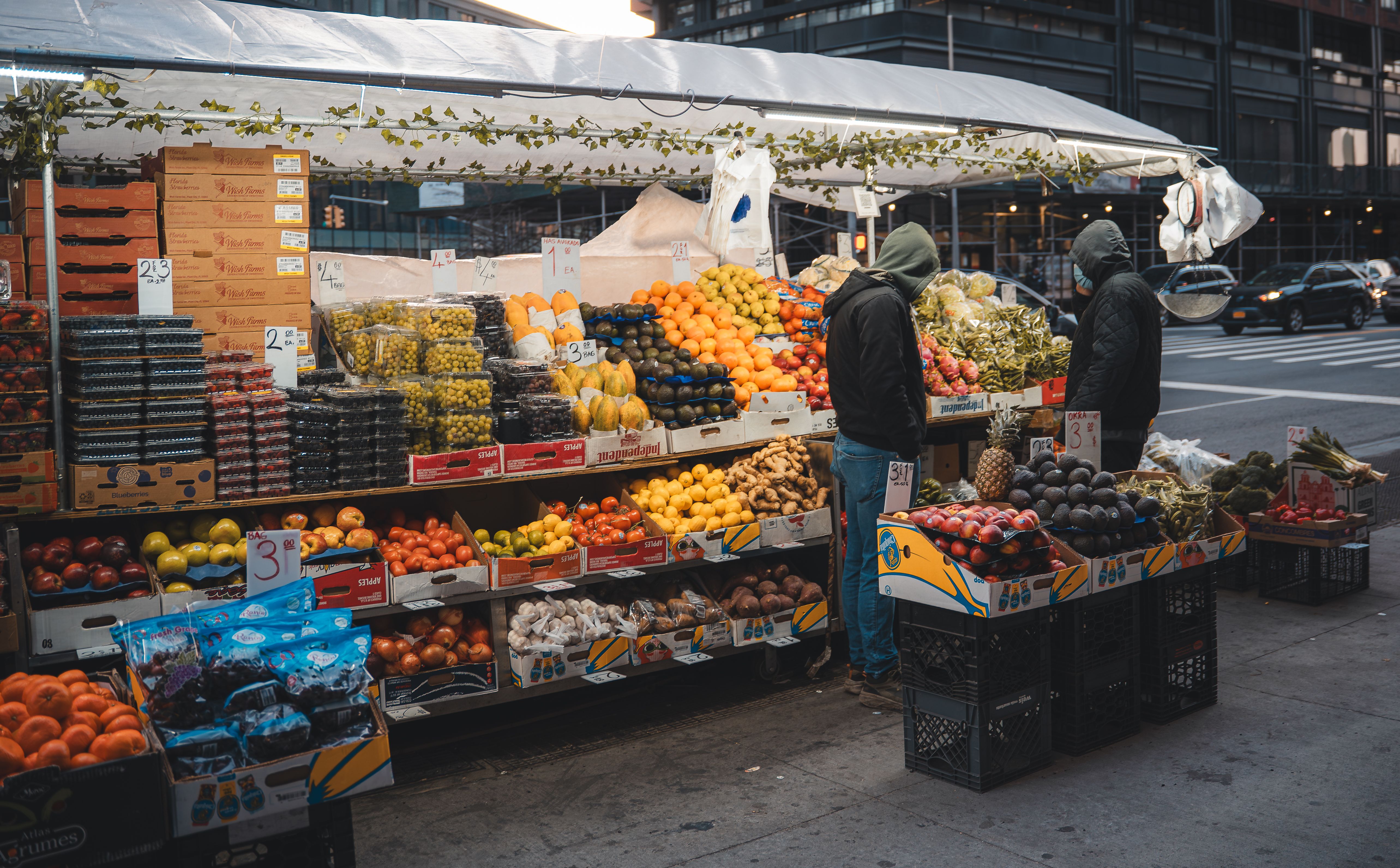 Foto: Willian Justen de Vasconcellos / Pexels