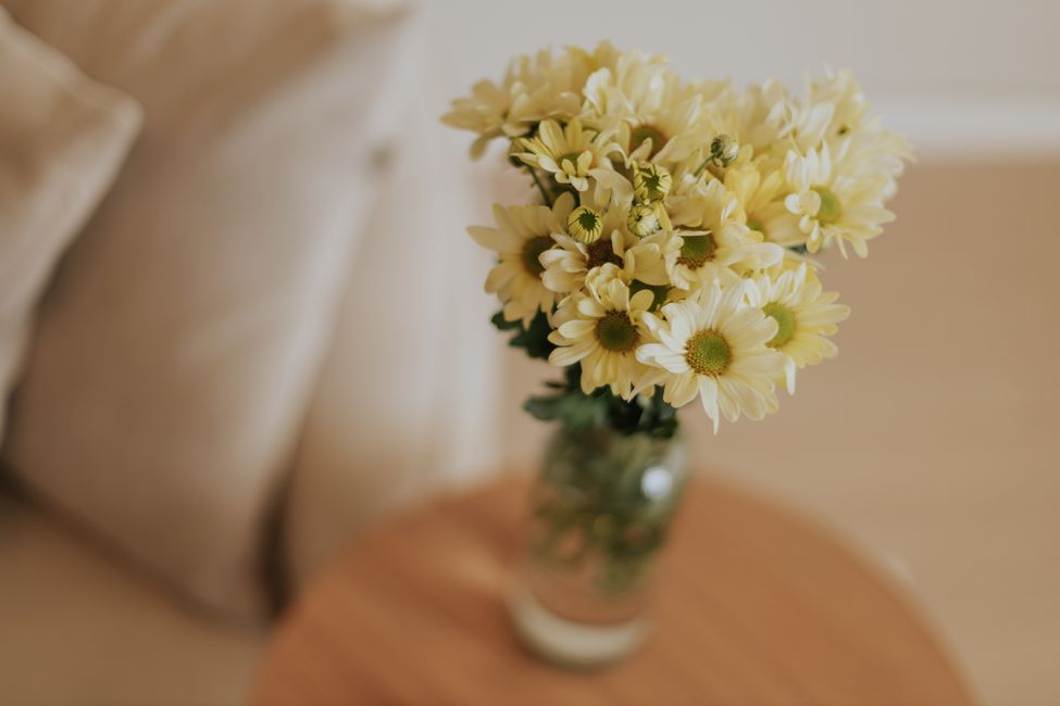 Enfeites para casa: ideias criativas para todos os ambientes