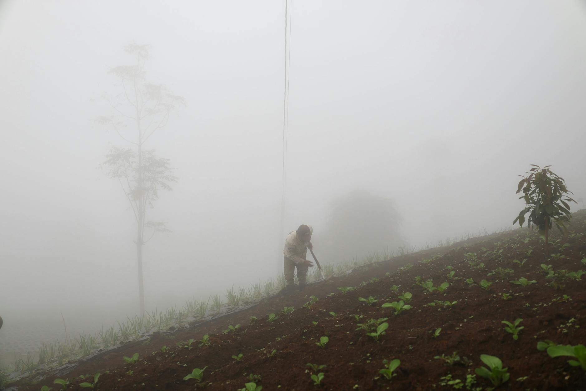 員工招募面試技巧 找到最合適人才的關鍵策略 員工招募面試技巧 找到最合適人才的關鍵策略