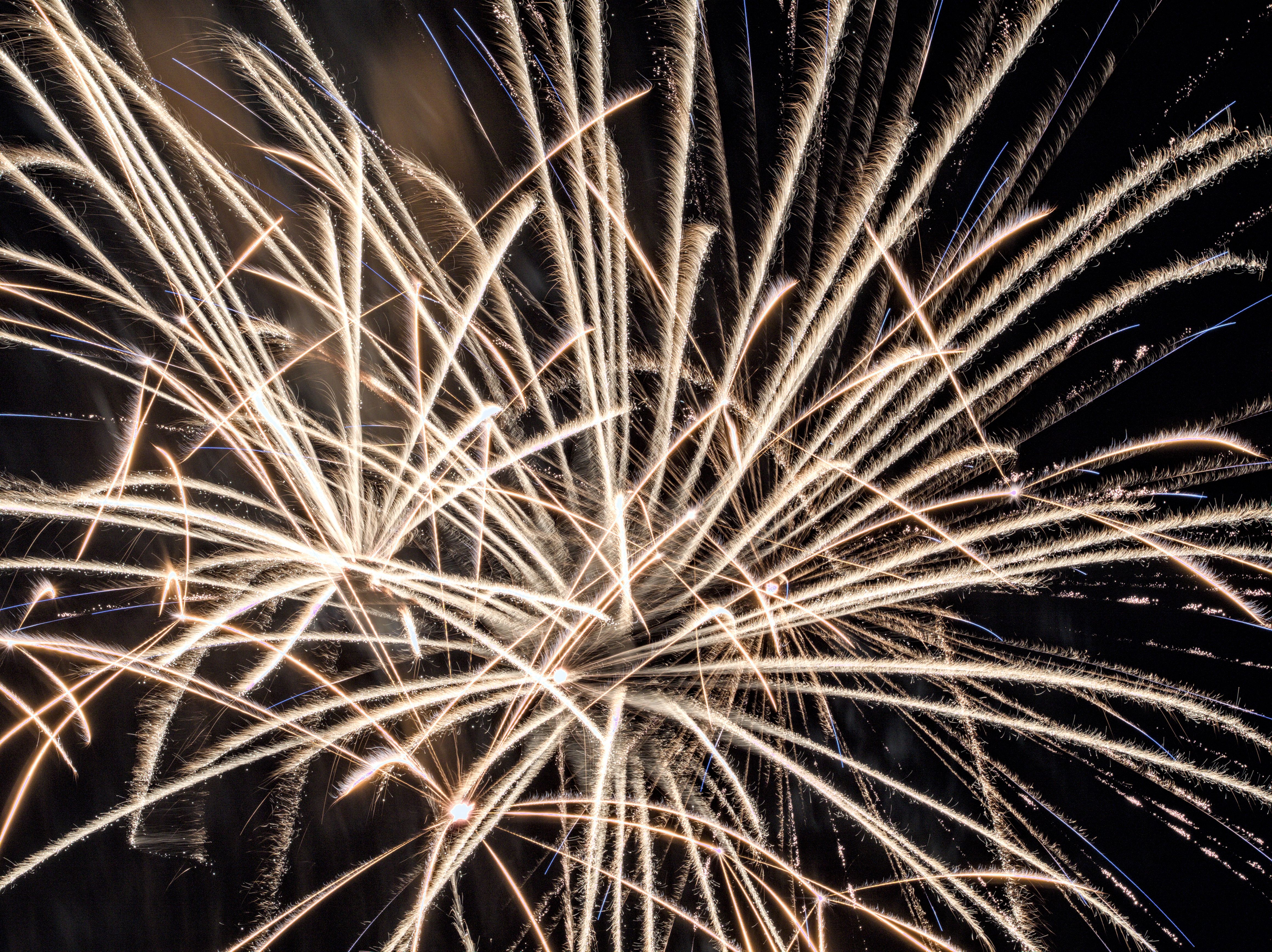 Vibrant fireworks explode against the night sky celebrating Independence Day.