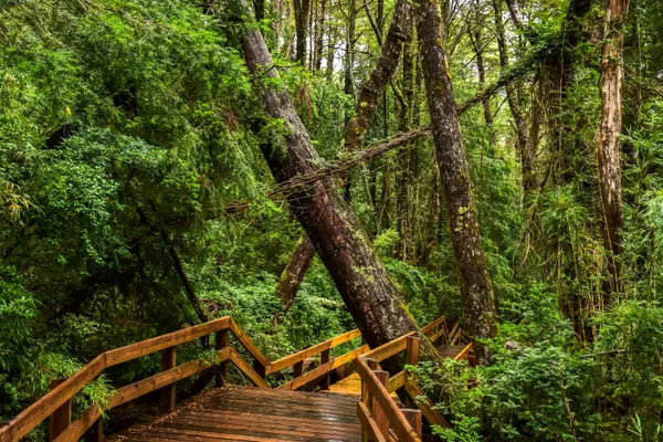Parc national de Chiloé