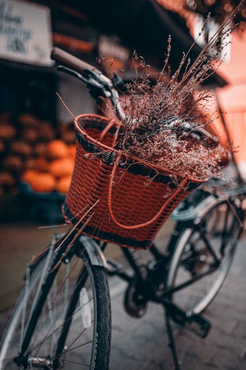 무료 식물 바구니와 함께 주차 된 자전거 스톡 사진