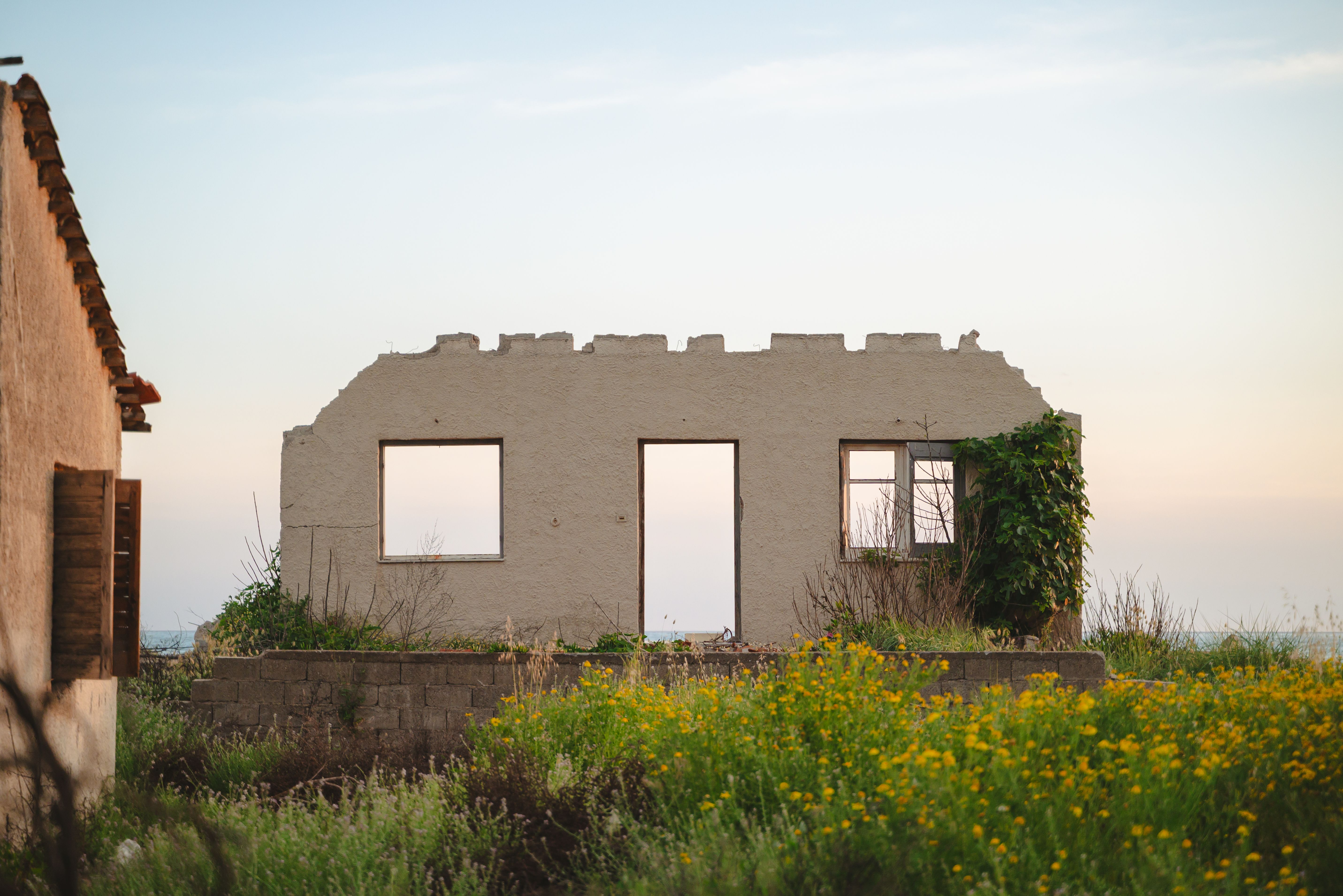 Old building facade surrounded by blooming wildflowers during a vibrant sunset.