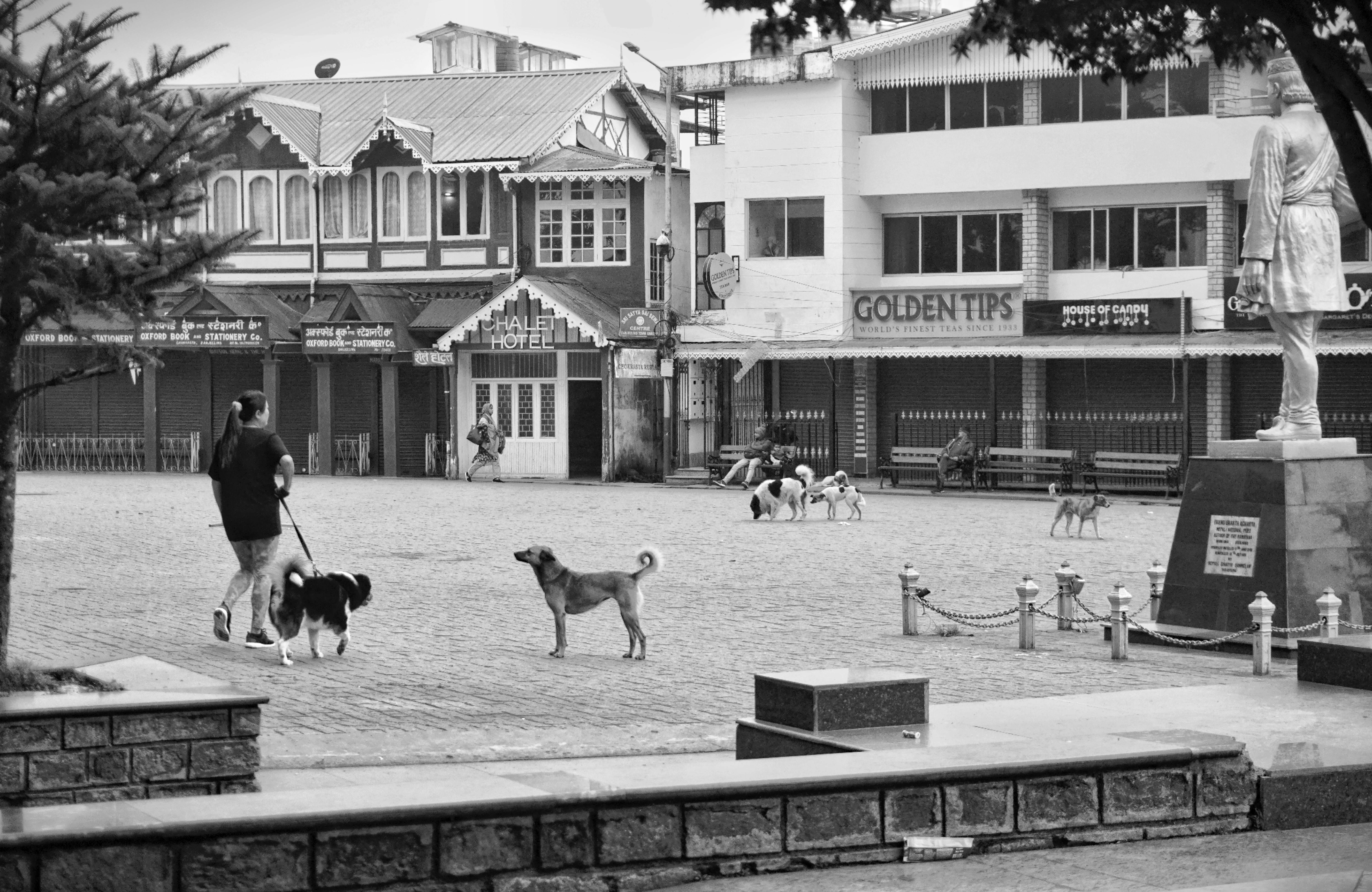 Tips dan Trik dalam Menggunakan Resize Observer API