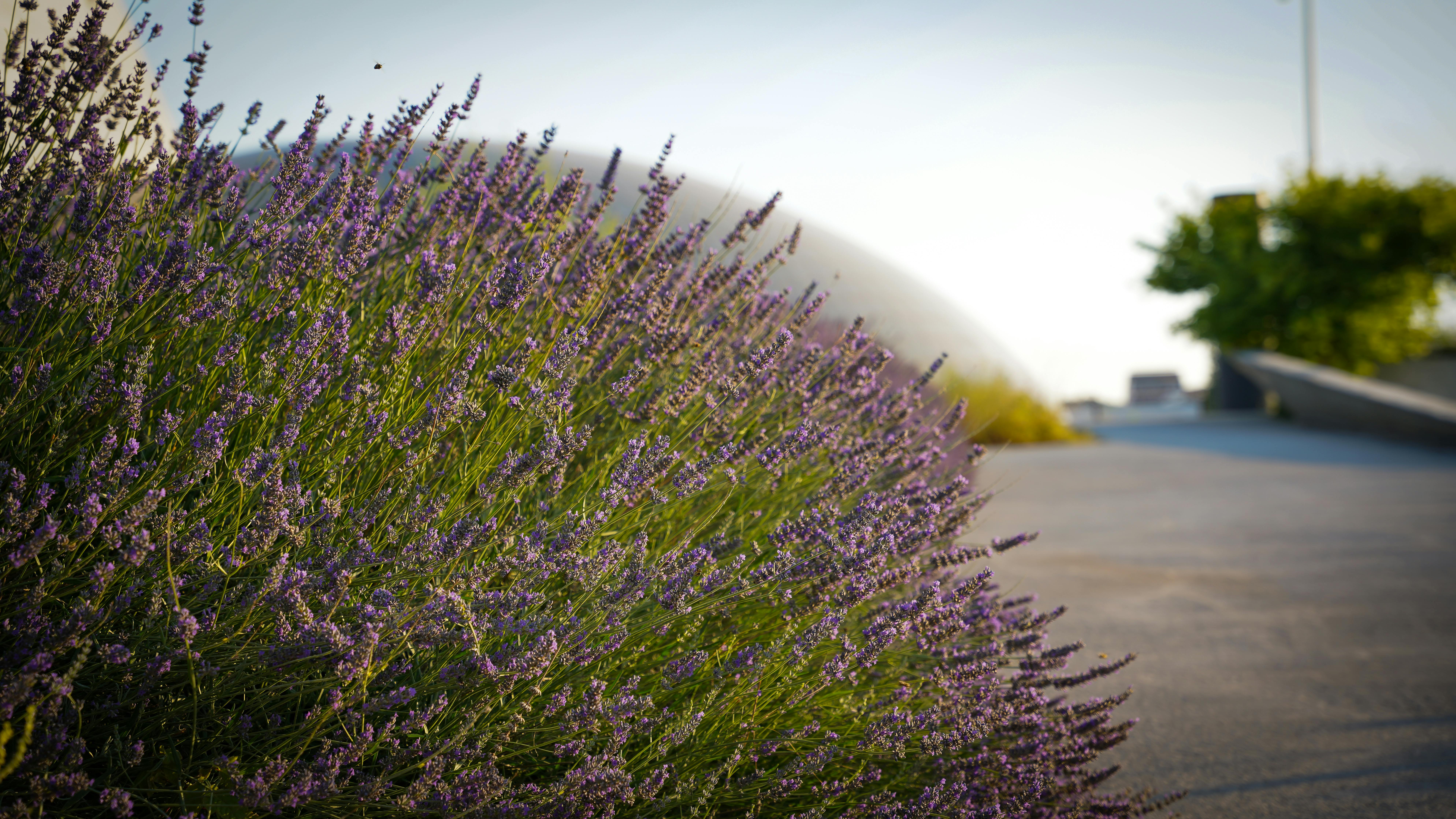 Common Fragrance Wardrobe Mistakes to Avoid