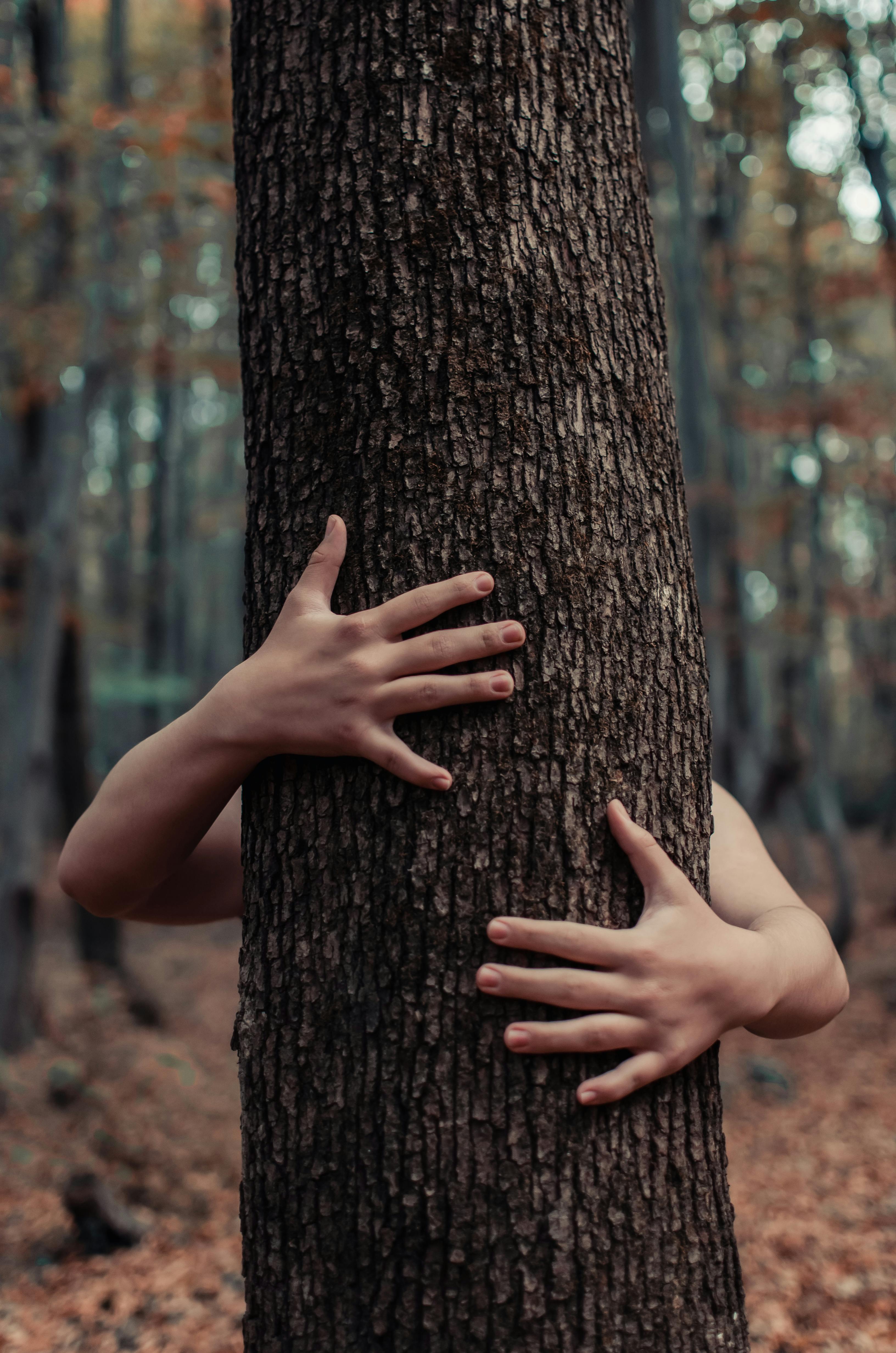 Four hands touching a tree trunk stock photo