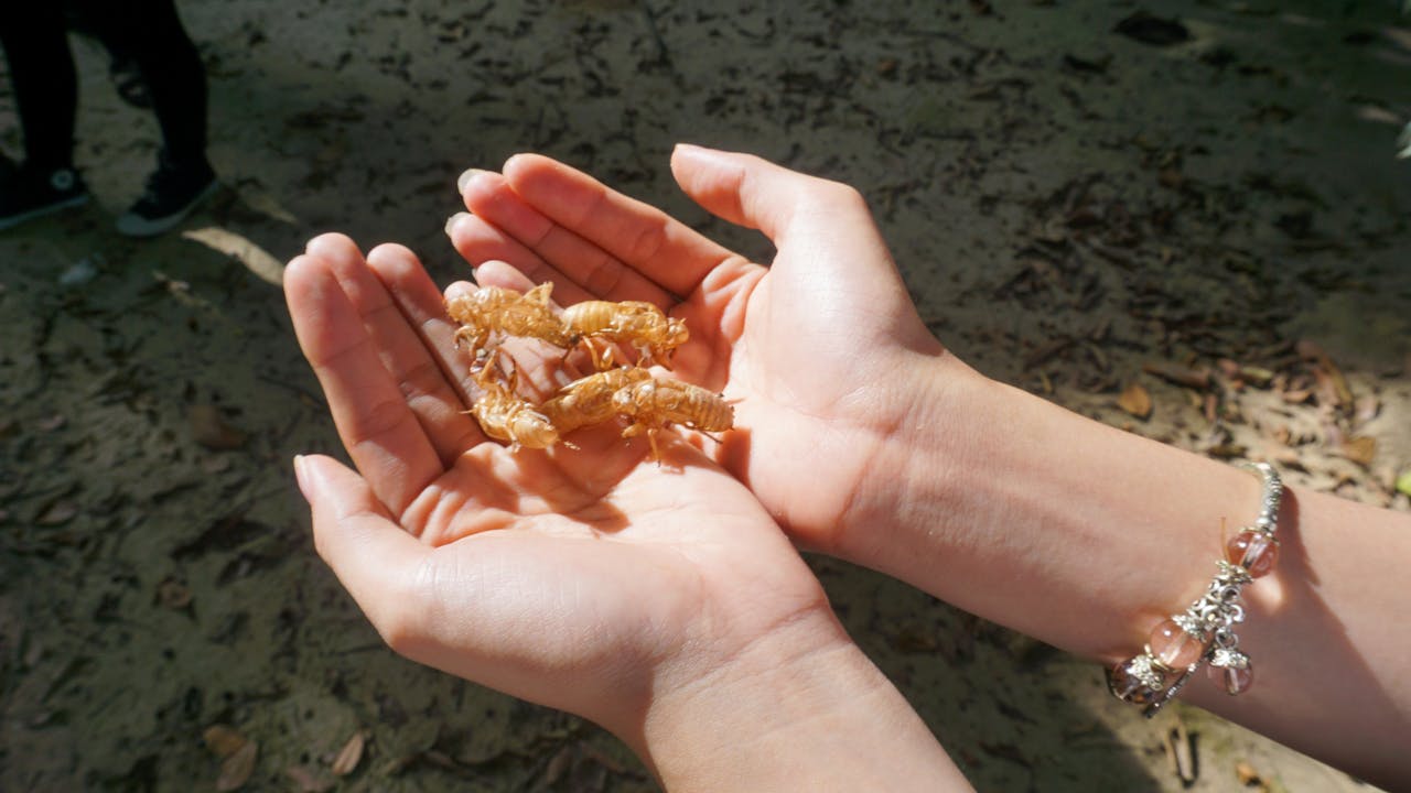 Thám tử lừng danh Conan | Chương 0380