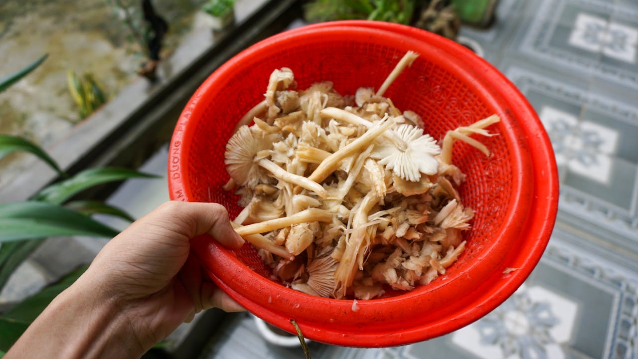 Bước về phía bầu trời, theo cách chúng ta muốn