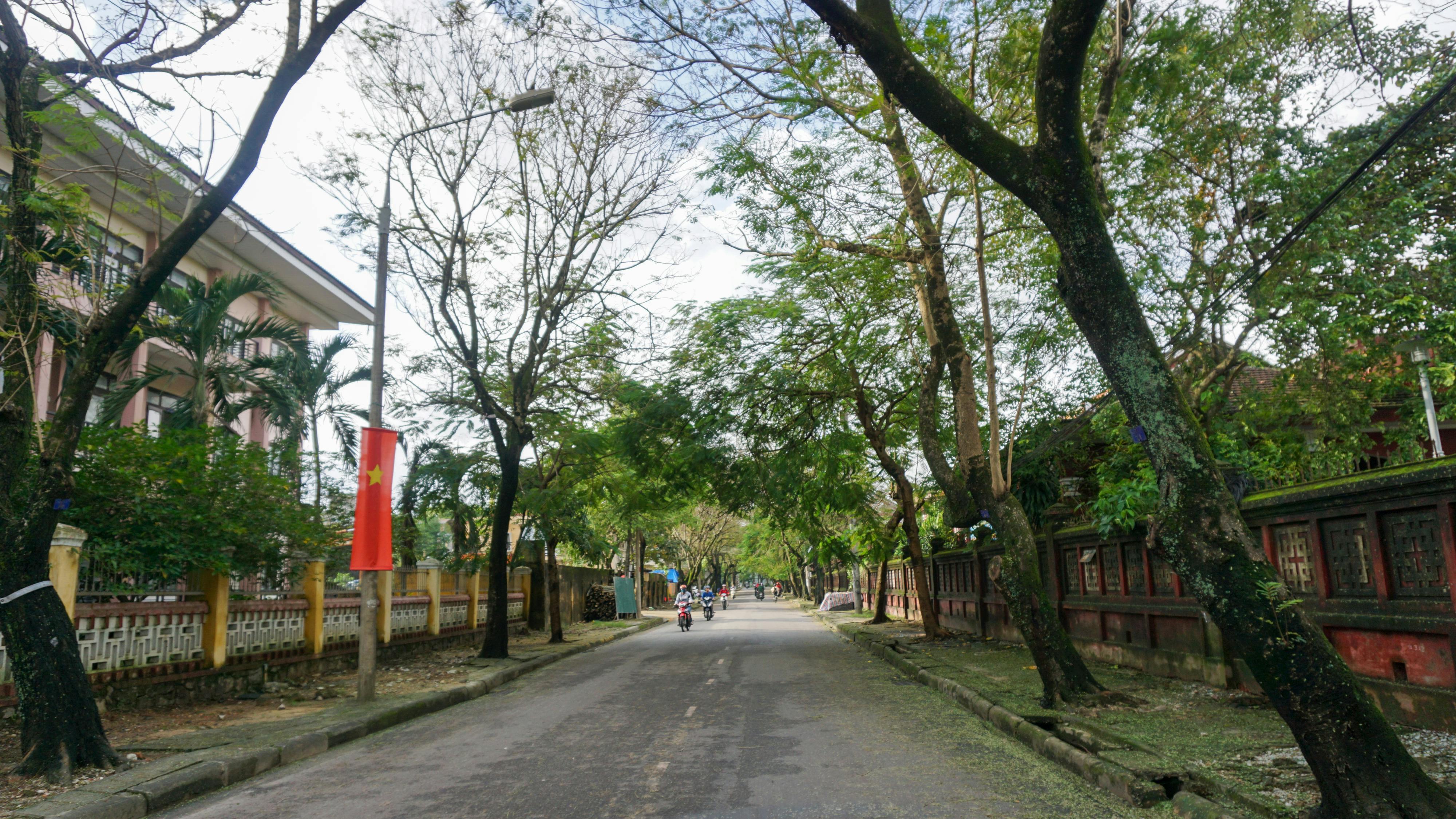 Chim lửa | Chương 89