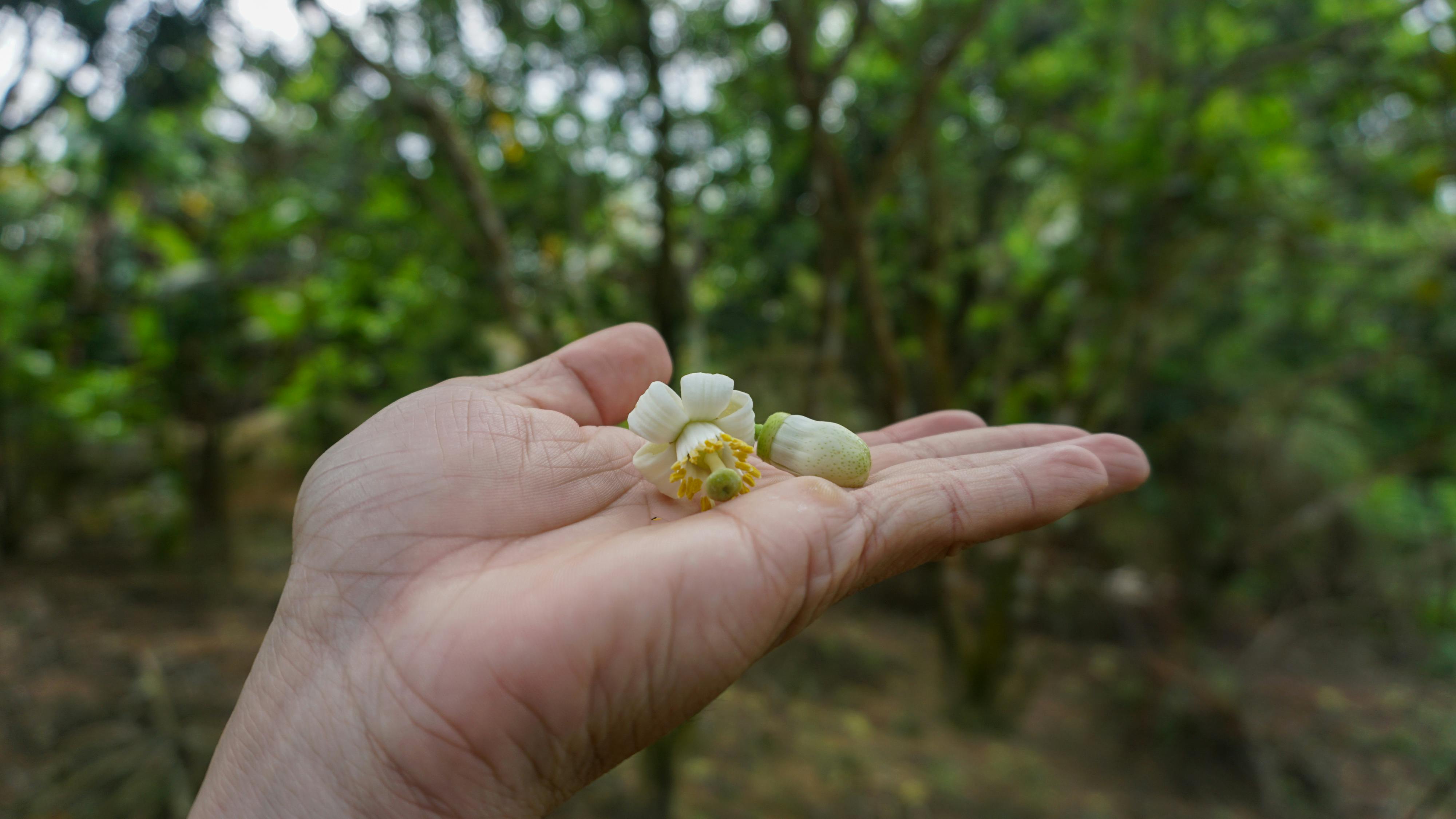 Gieo trồng hạnh phúc | Chương 18