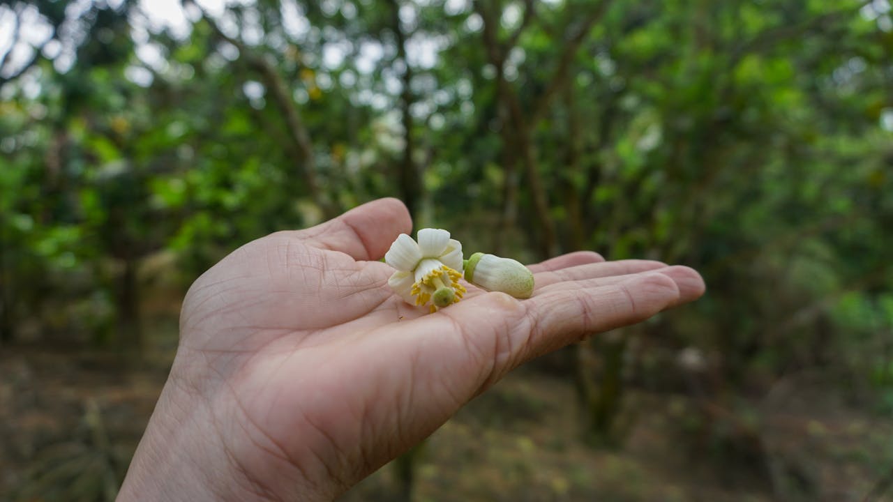 Danh tính kỹ thuật số trong kỷ nguyên Web3