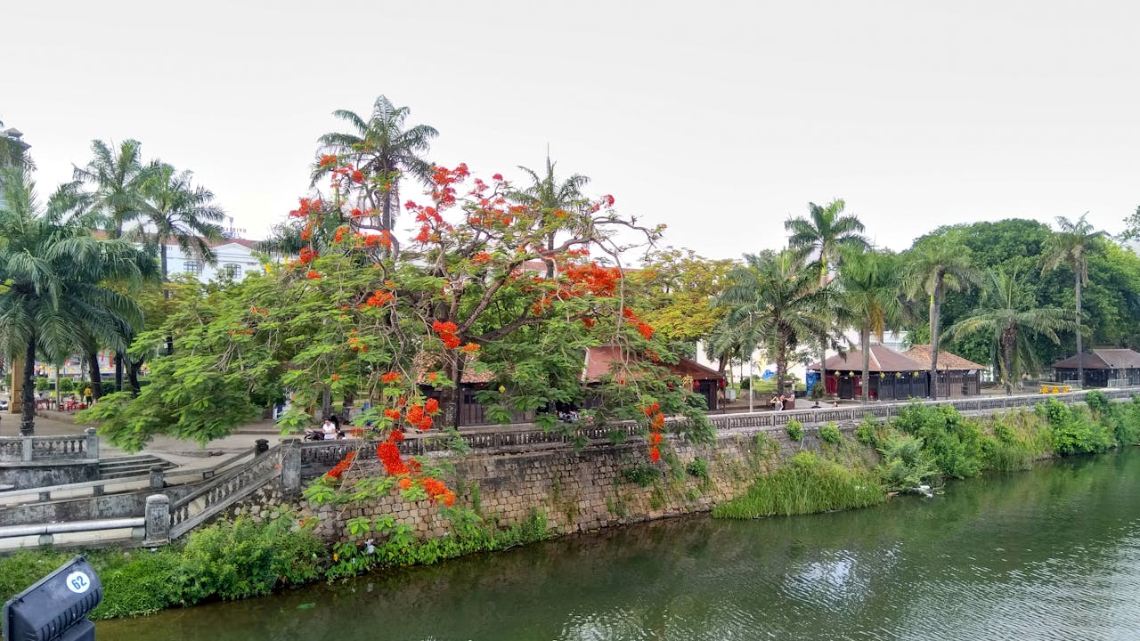 Tư duy phép màu và văn hóa biên giới miền Tây