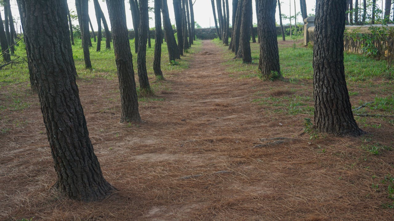 Vì sao khủng long tuyệt chủng nhưng loài khác sống