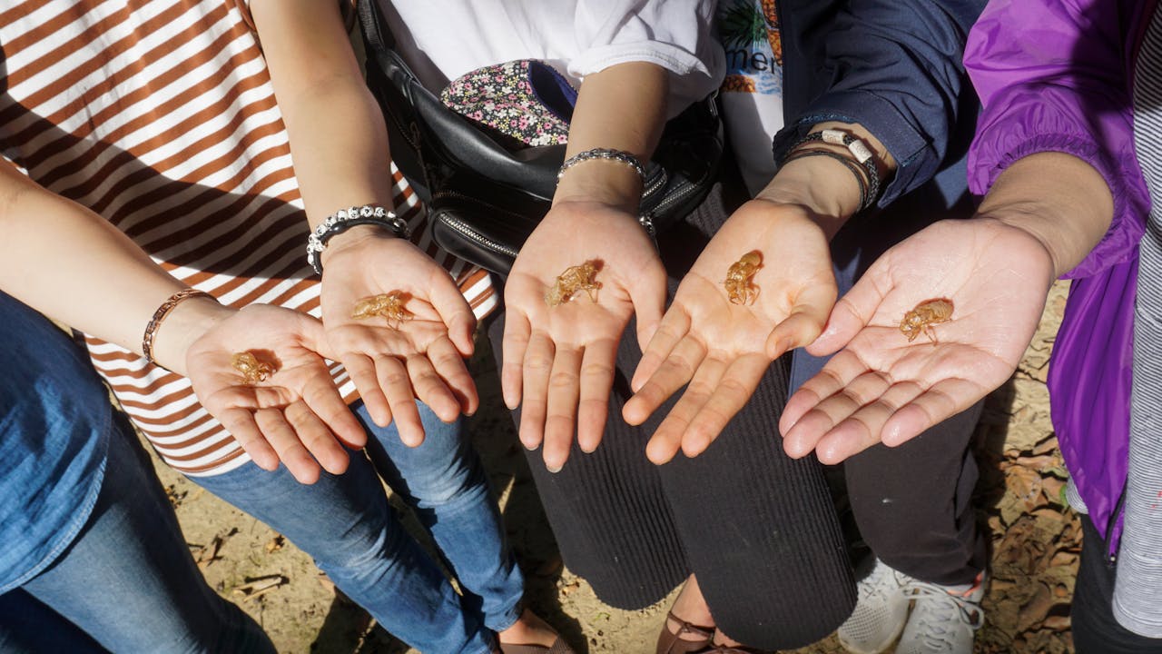 Cẩm nang du lịch Vịnh Lan Hạ