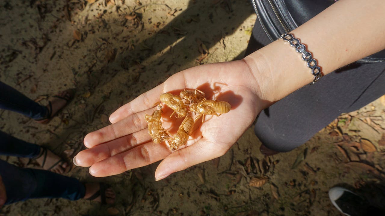 Thám tử lừng danh Conan | Chương 0976