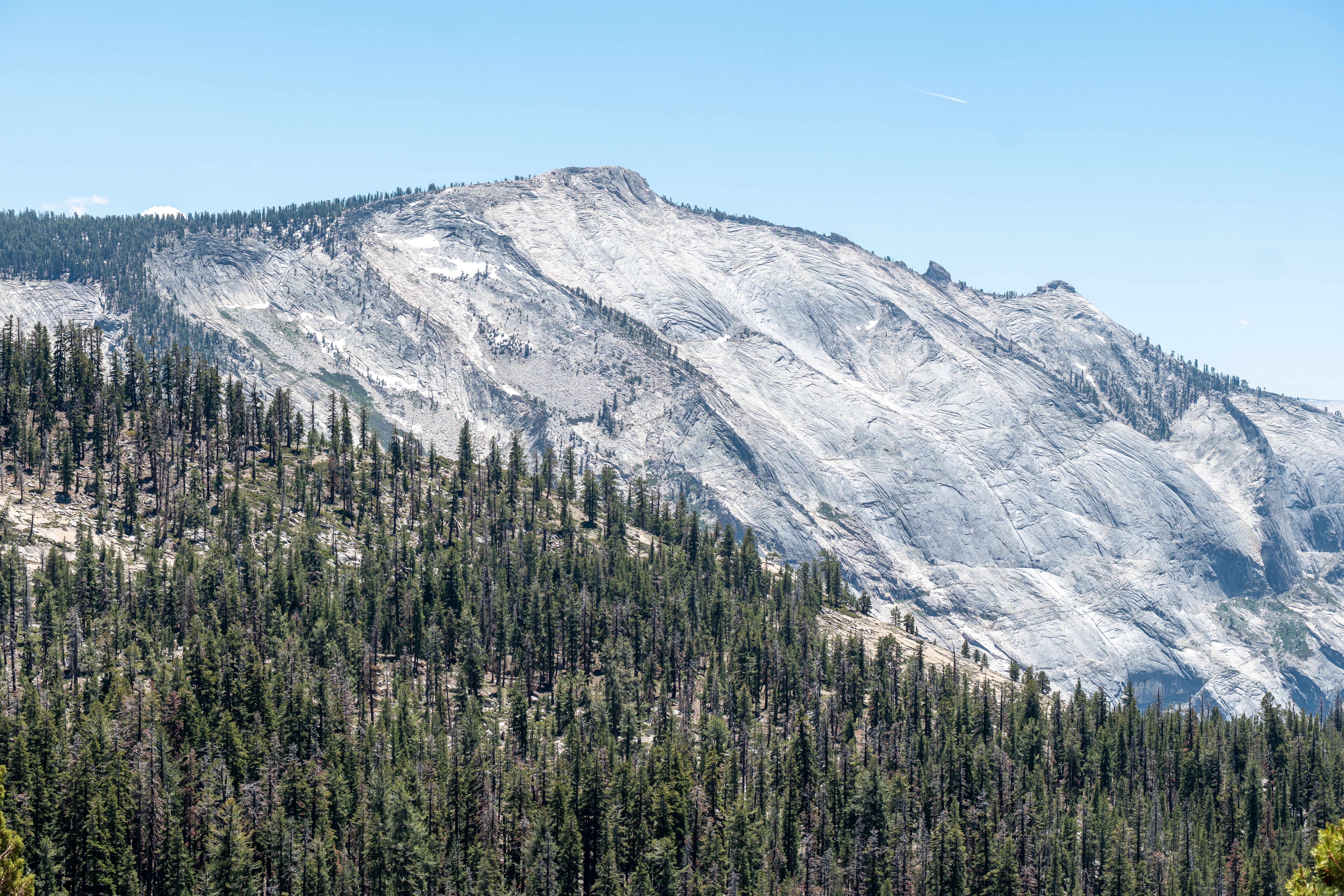 Landscape of Glacier Point with forested foreground in Yosemite National Park, California, United States