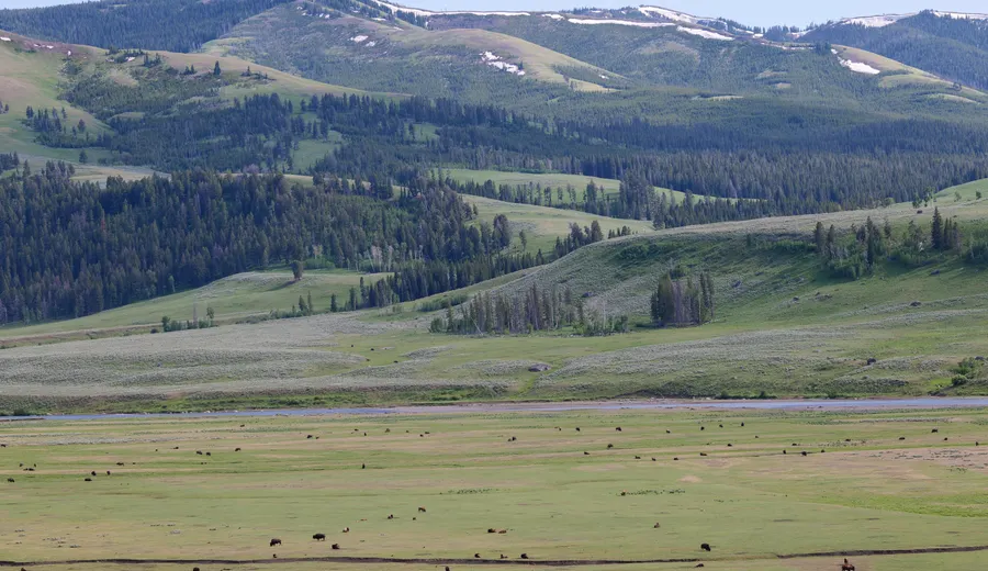 Jour 2 à Yellowstone