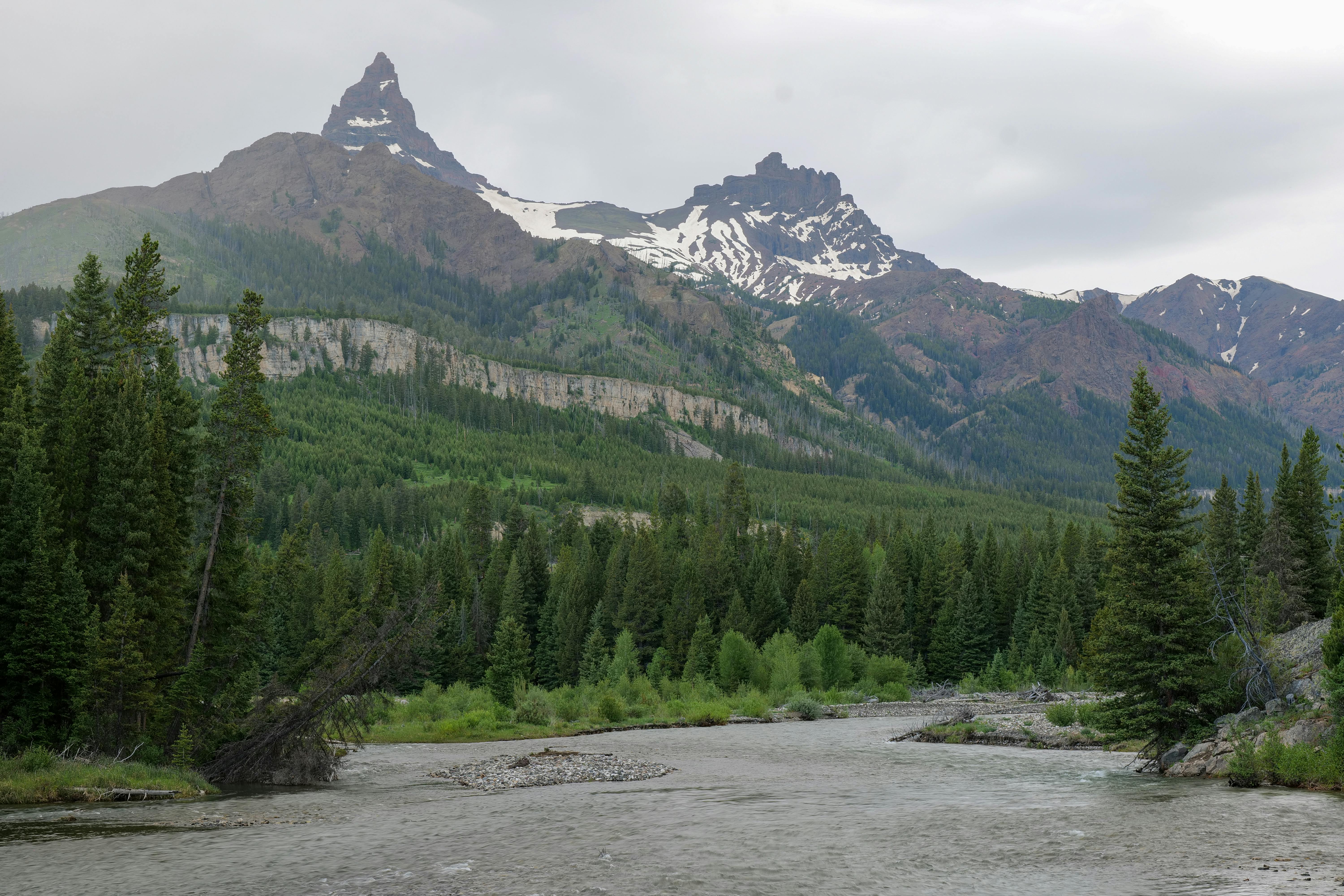 Wyoming, Montana attorneys general accuse big tech companies of greenwashing — Photo by Mark Direen on Pexels