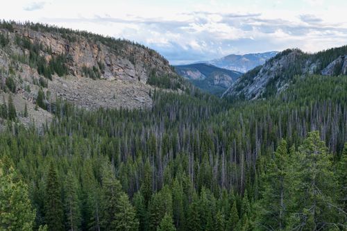 Free Breathtaking aerial view of lush forest valleys in Yellowstone National Park, showcasing natural beauty. Stock Photo