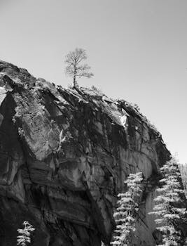 Black and white photo of a solitary tree atop a California cliff, capturing nature's serenity.