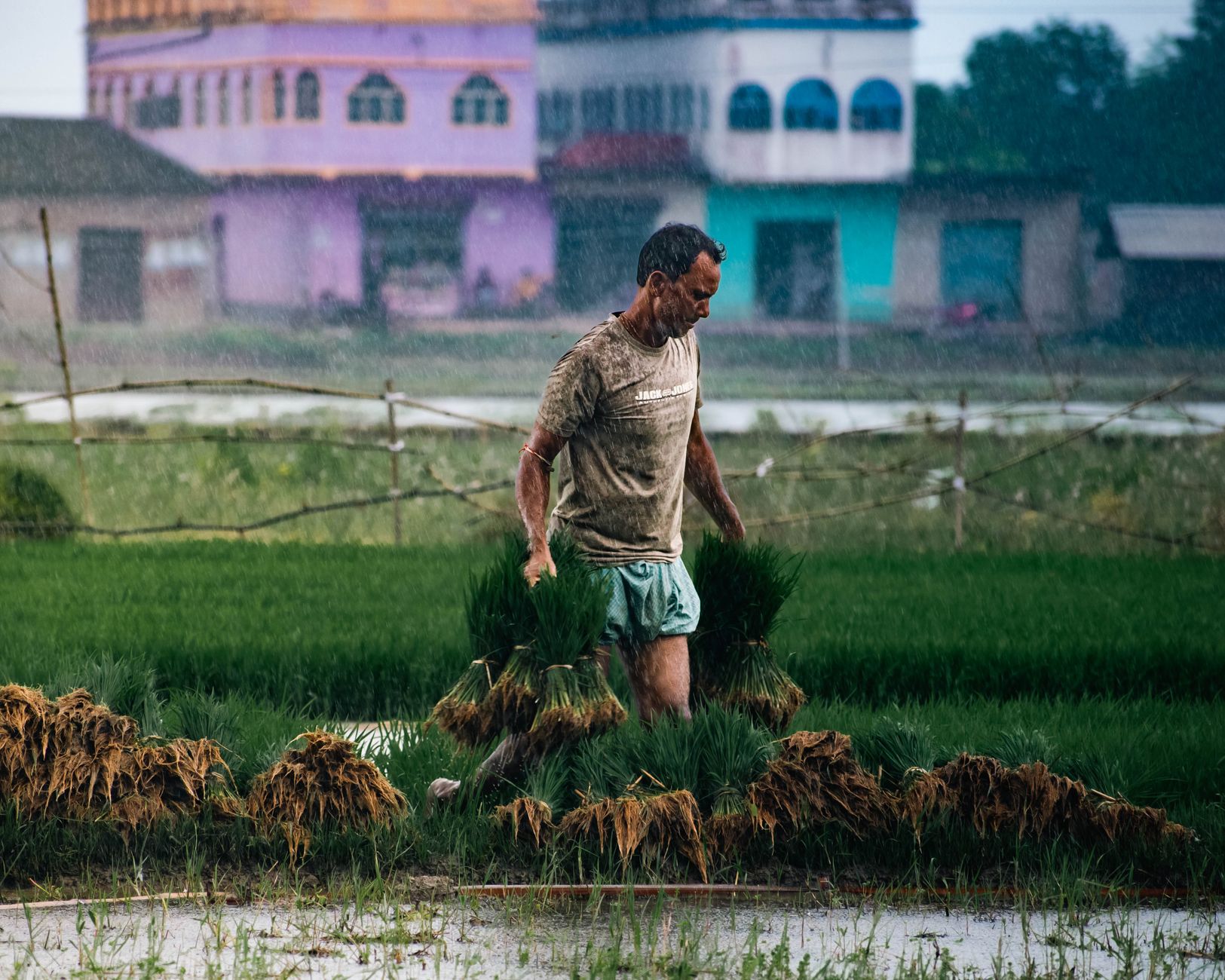 Why July Rainfall Is Critical for India's Economy and Farmers