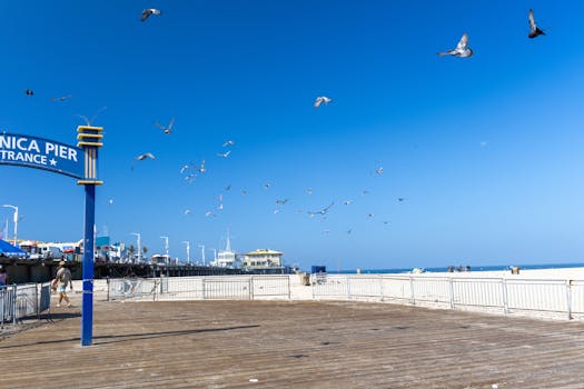Santa Cruz De La Sierra, Bolivia photo 12