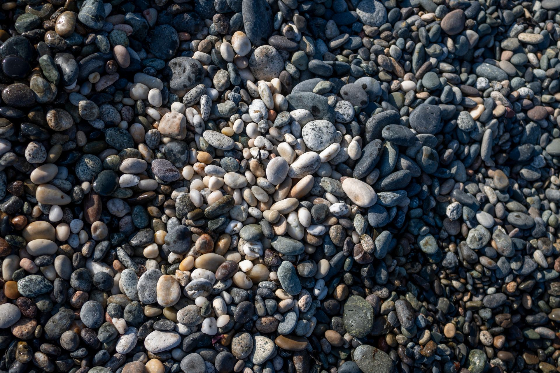 Close-up of various colored pebbles creating a natural, textured beach surface.