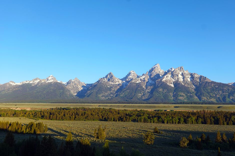 Michigan-Konsumklima und Jackson Hole stehen am Freitag im Fokus