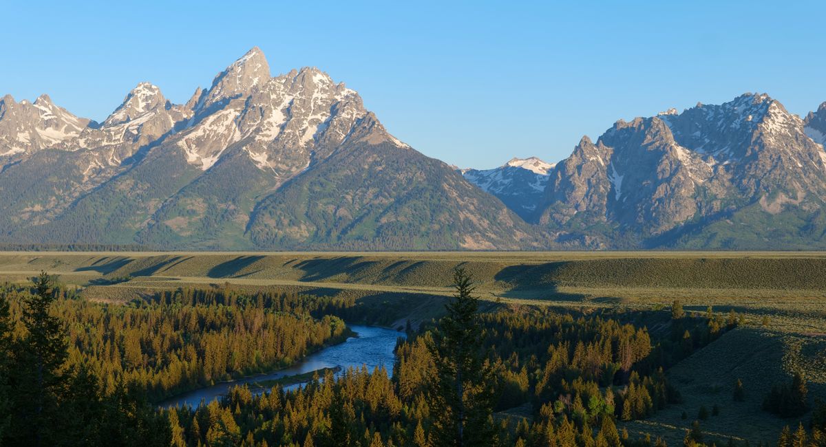 Illustration, teton sensible