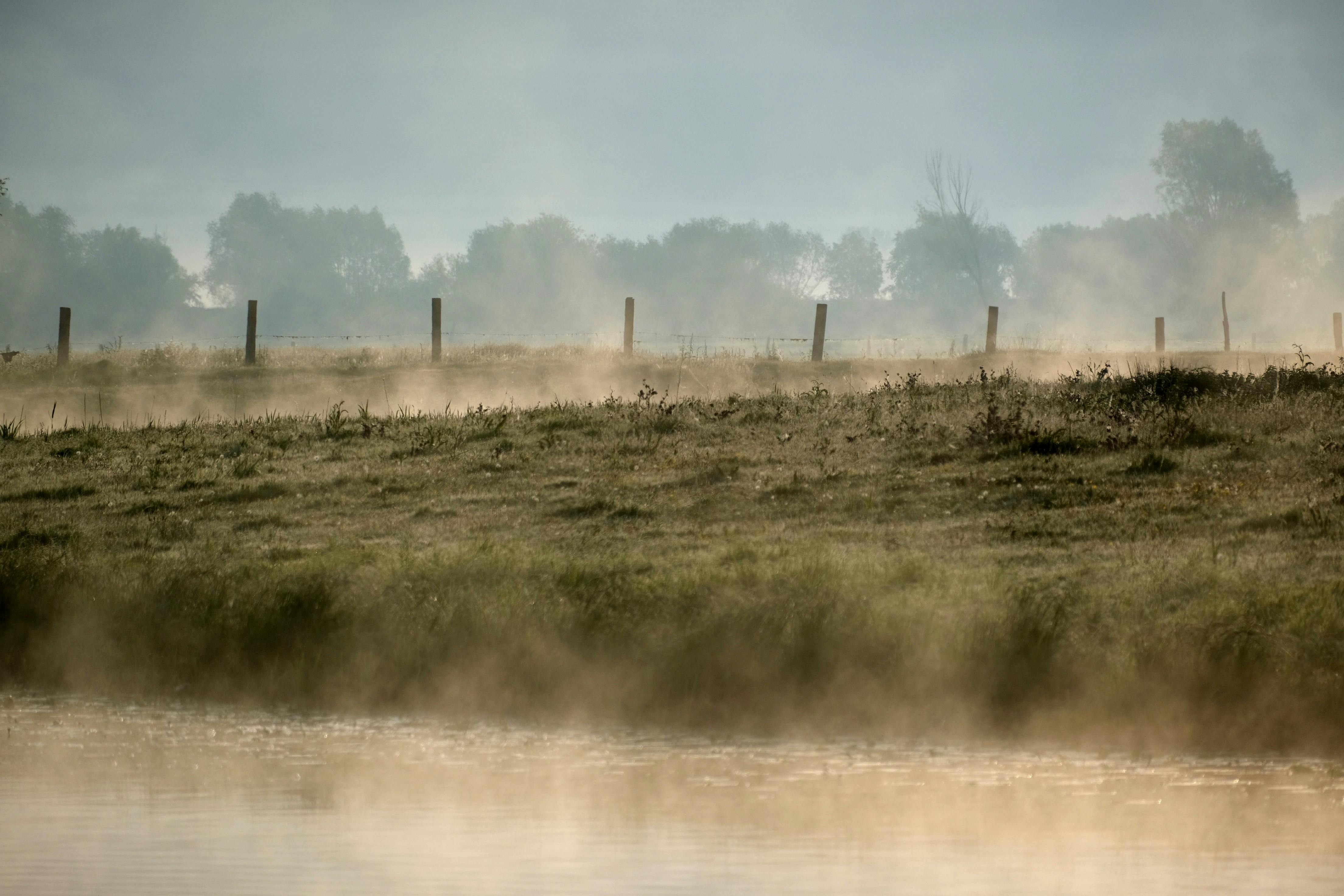 Serene countryside landscape with morning mist and soft sunlight over grassy fields