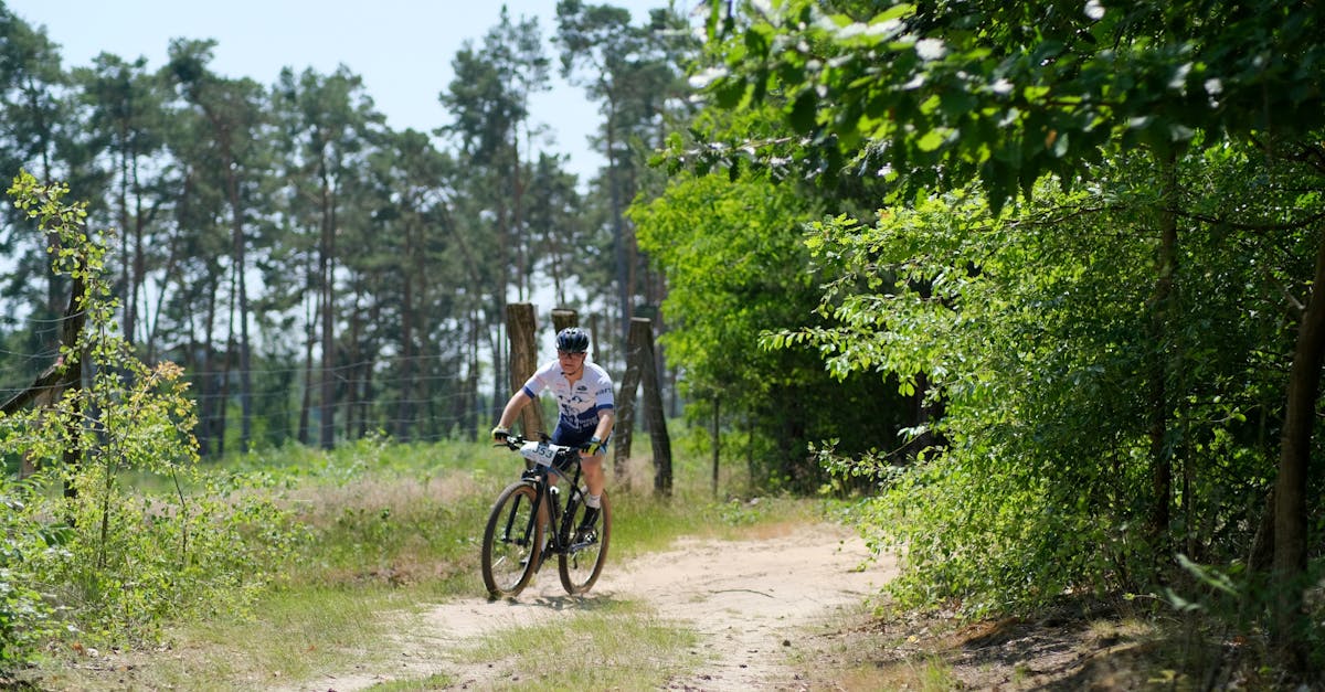 臺東YouBike 2 0 為品味慢生活重新定義行進速度