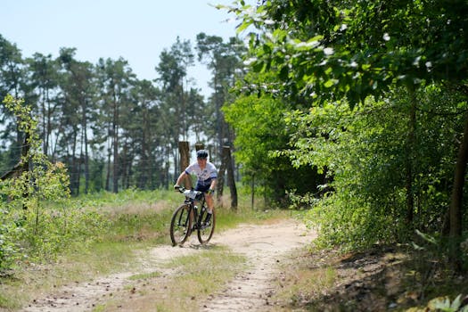 A cyclist enjoys a sunny ride on a forest trail, surrounded by lush greenery.