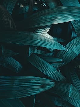 这是一张深绿色几何树叶的抽象特写，纹理丰富，非常适合用作背景或壁纸