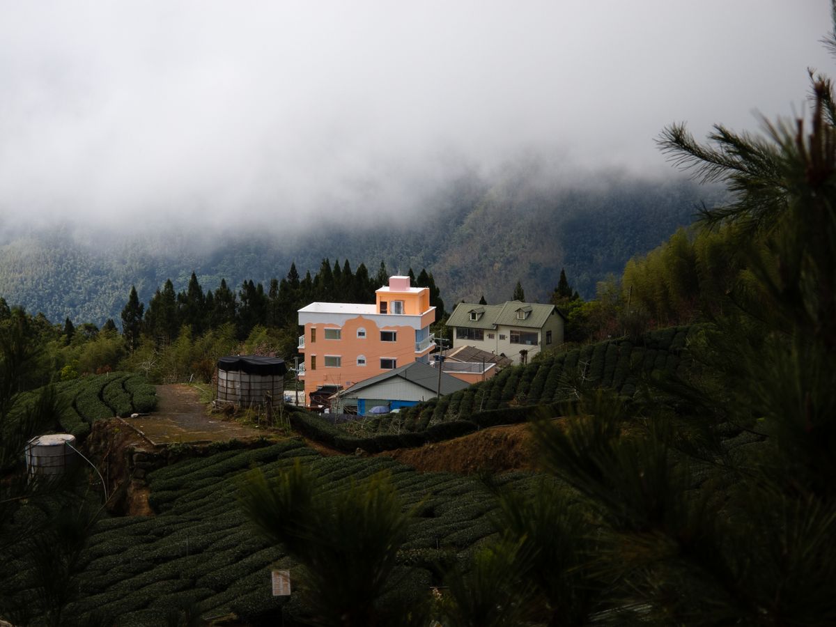 Stroll the Hinoki Village