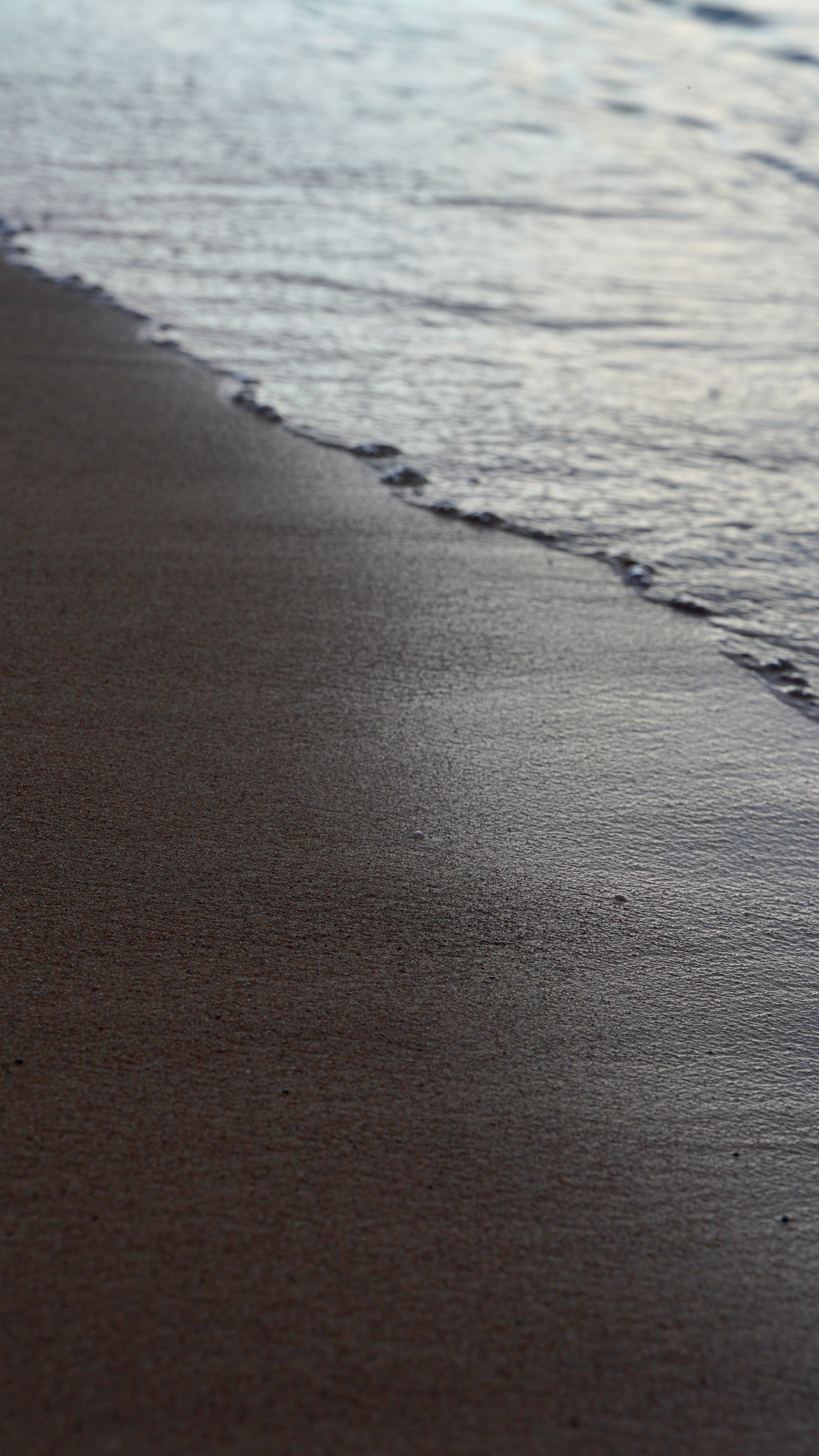 Serene Beach Shoreline at Twilight · Free Stock Photo