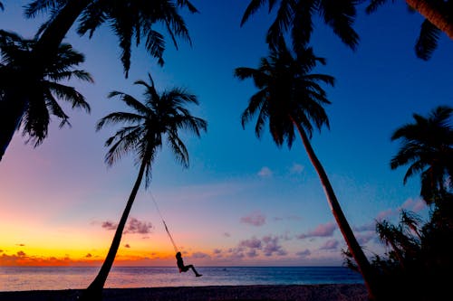 Kostnadsfri bild av havsstrand, himmel, kokospalmer