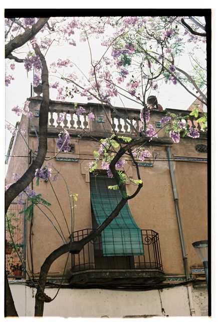 A picturesque balcony adorned with blooming purple wisteria against a rustic building.