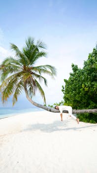 Tranquil scene of a person lounging on a palm tree at a sunny Maldives beach.