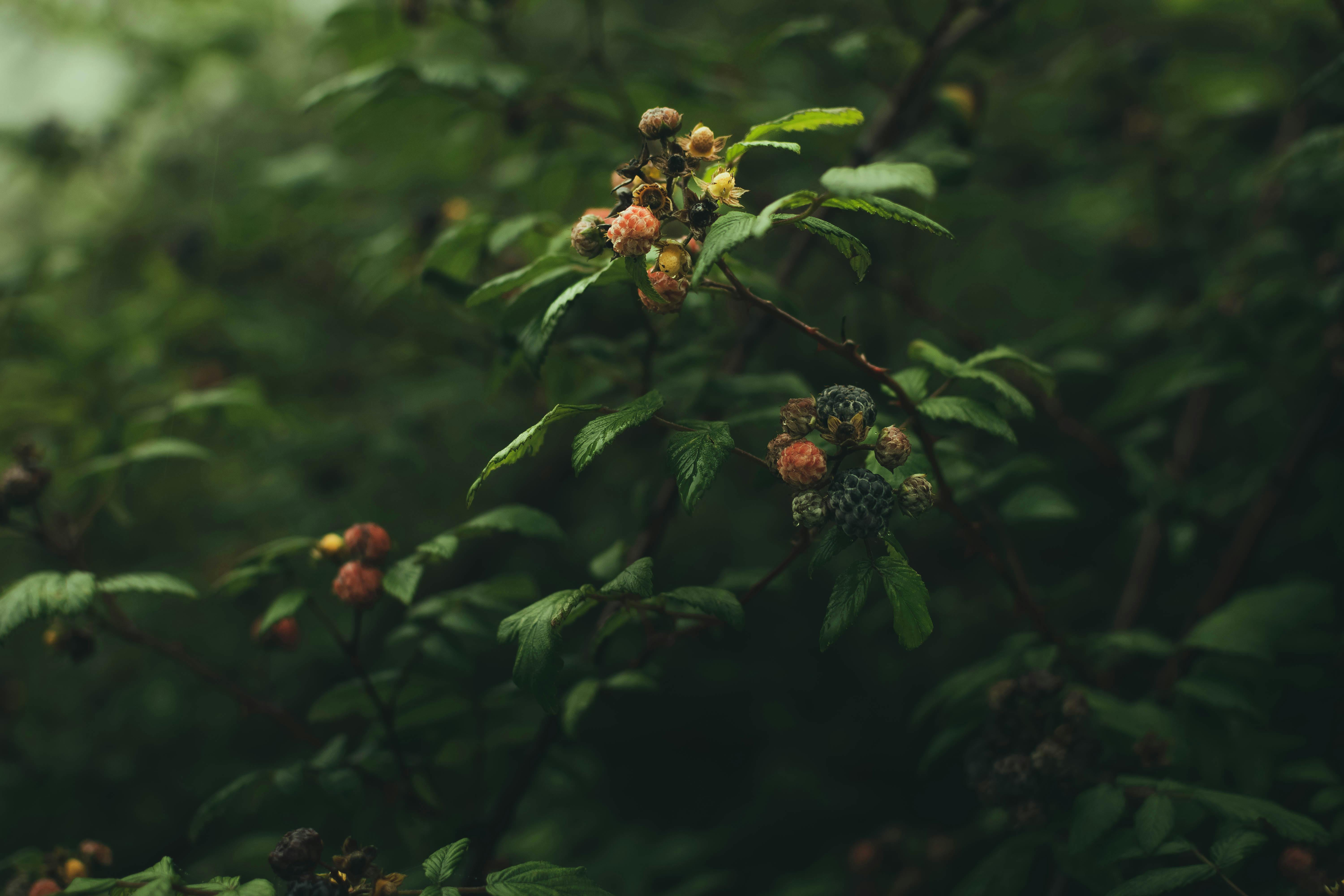 Unbelievable Growth Hacks That Will Double Your Reach