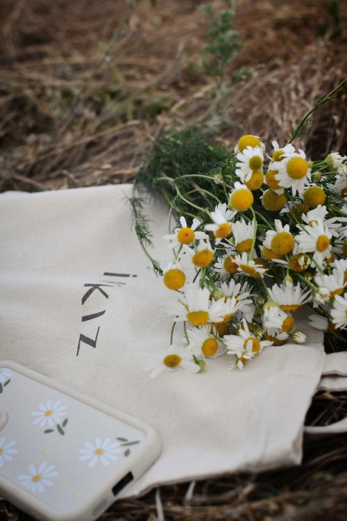 Free Daisies and chamomiles on a canvas bag with decorative phone case outdoors. Stock Photo