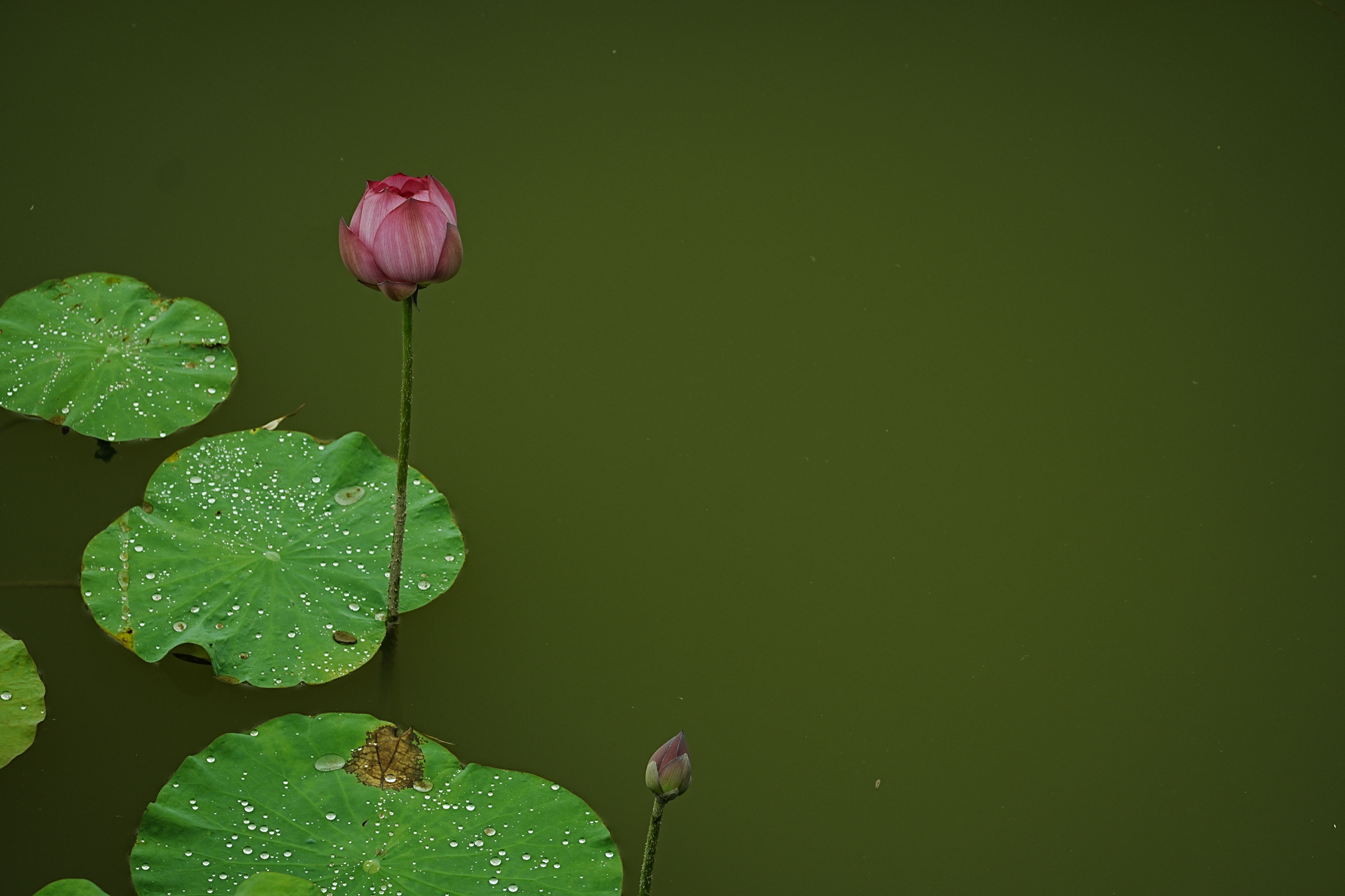 Calming Photos, Download The BEST Free Calming Stock Photos & HD Images